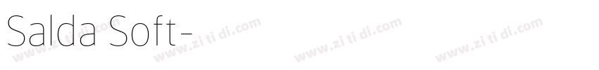 Salda Soft字体转换